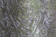 Hearts Delight fibreglass roof work